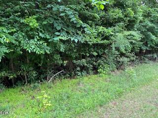 0 Frank Bullock Road Manson, NC 27553 - Photo 4 of 5 a view of a lush green forest