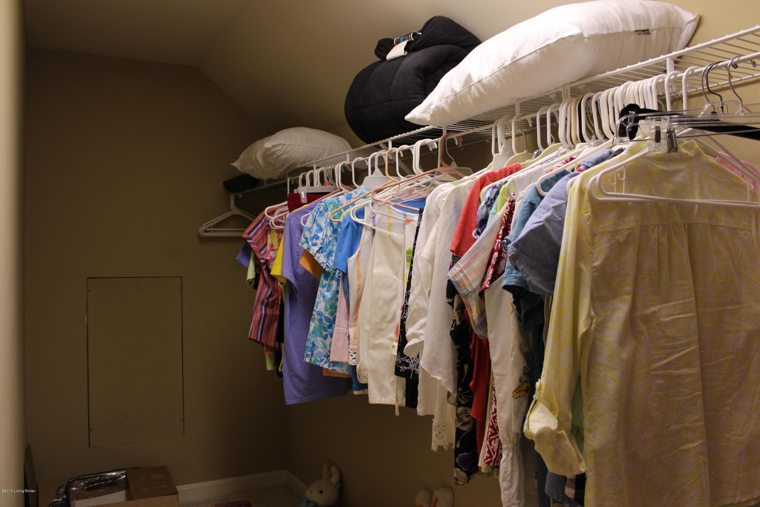 9715 Broad Run Road Louisville, KY 40299 - Photo 57 of 78 Bedroom 3 walk in closet