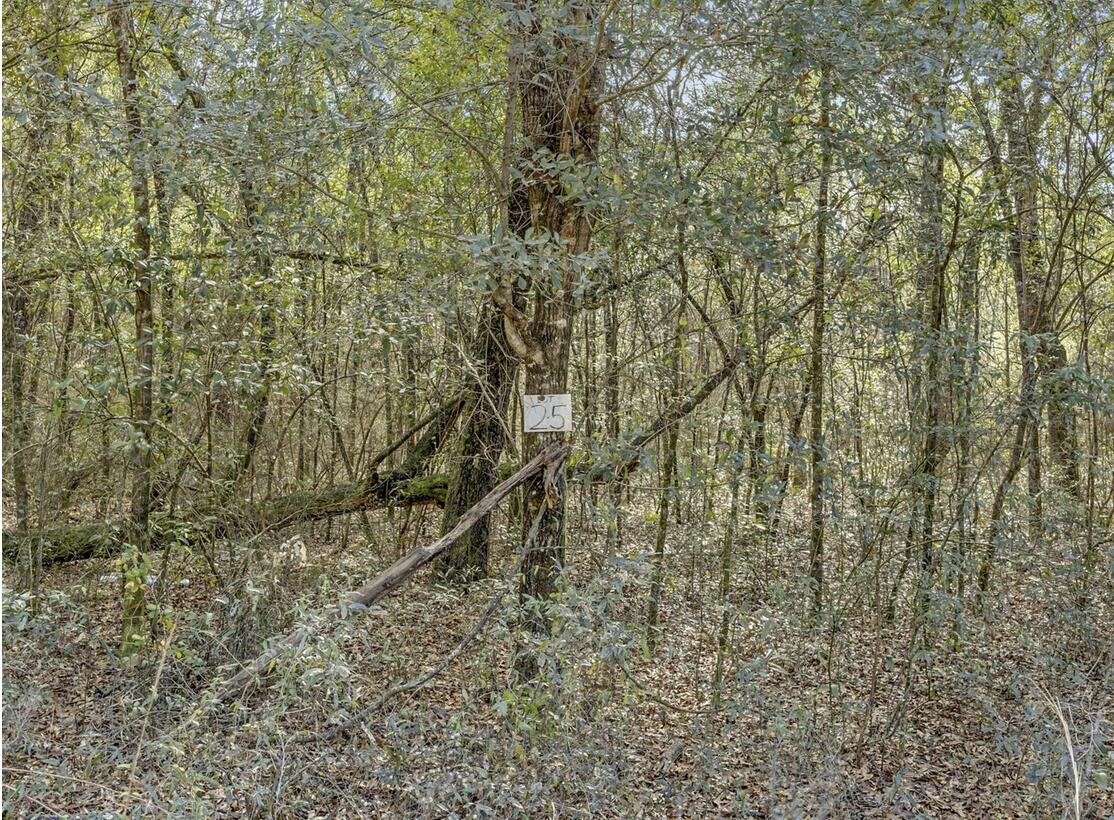 Lot 25 Blue Creek Road Ponce de Leon, FL 32455 - Photo 2 of 5