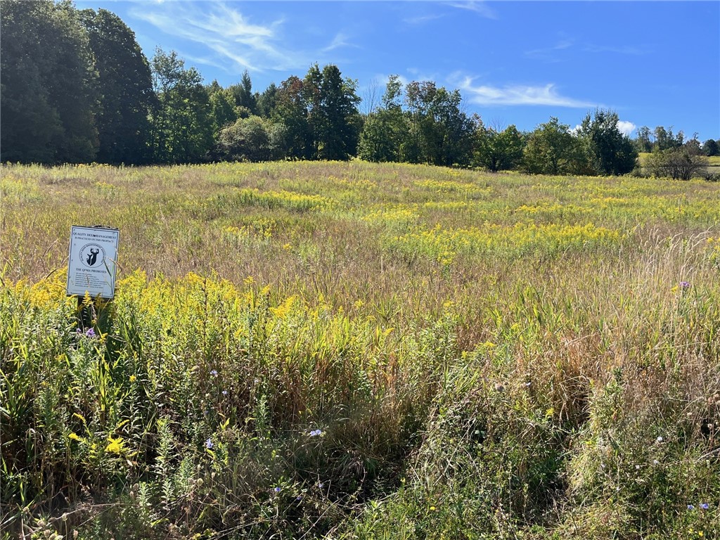 10005 Sawmill Run Road Napoli, NY 14755 - Photo 21 of 43 Gallery Image 21