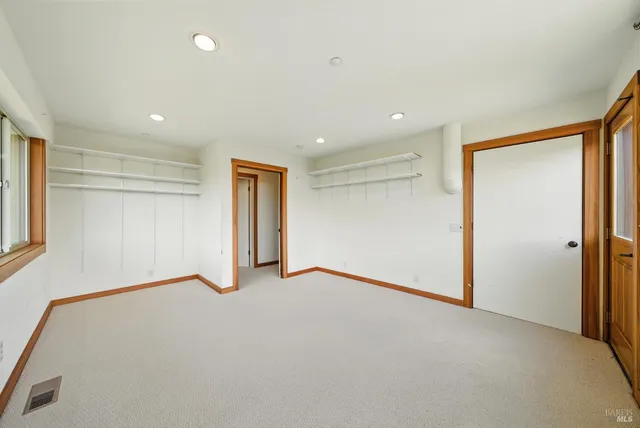 a view of a backyard with plants and trees