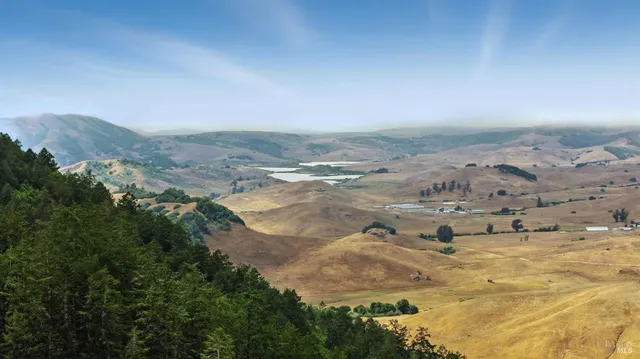 a view of a building with a lush green forest
