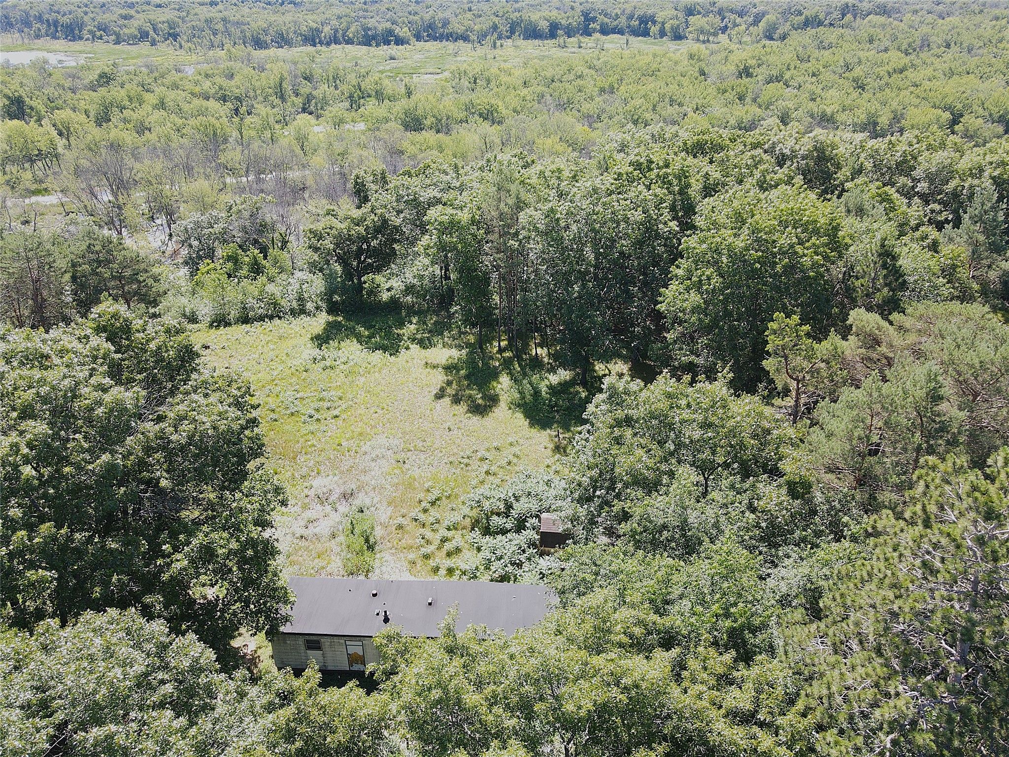 N4916 County Road North Arkansaw, WI 54721 - Photo 6 of 25