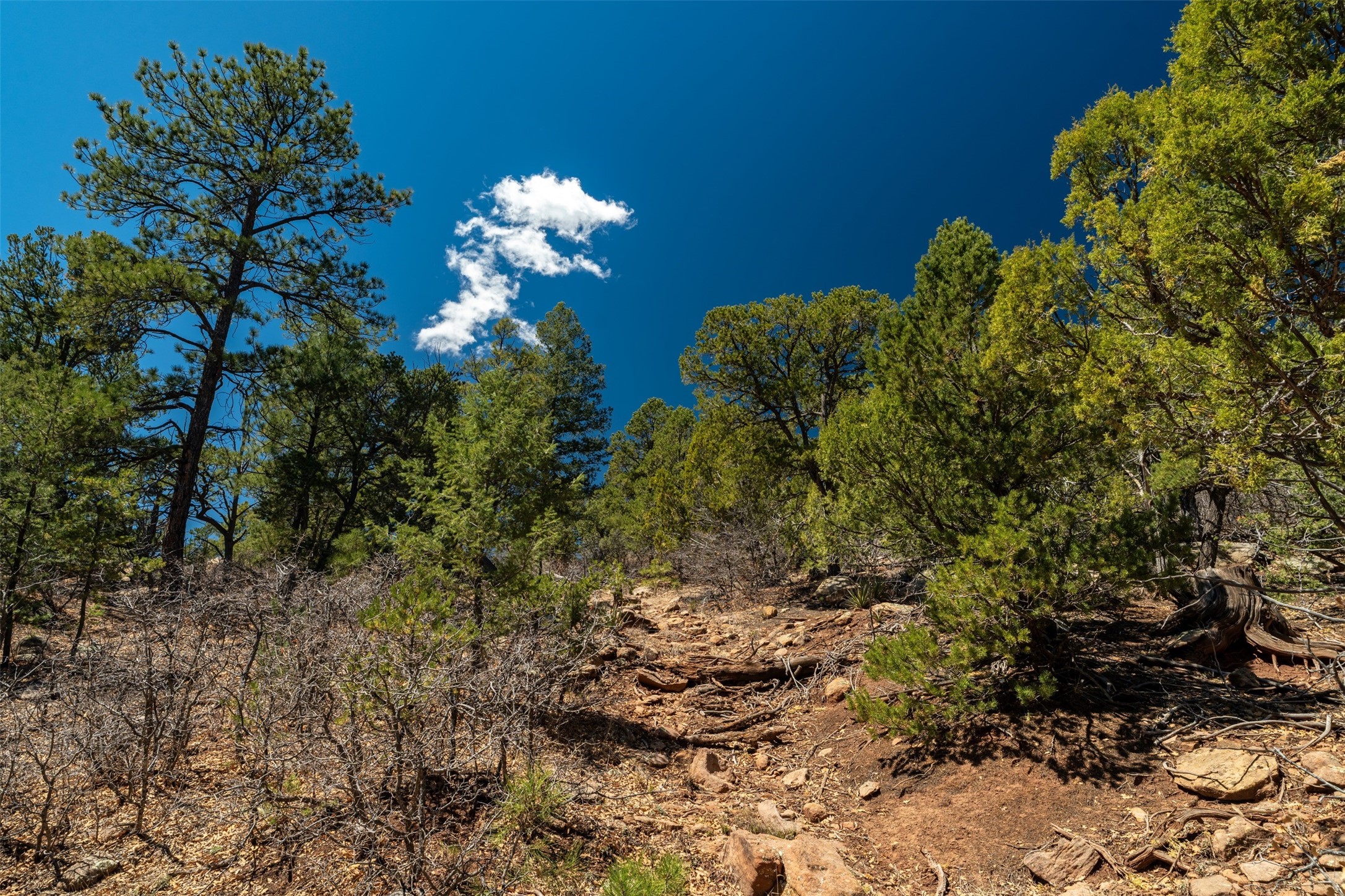 30 Monte La Cueva Road Glorieta, NM 87535 - Photo 77 of 91