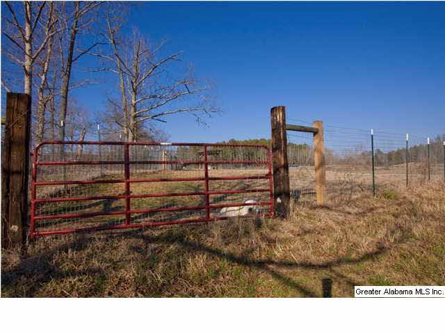 905 Smith Road Oneonta, AL 35121 - Photo 23 of 30