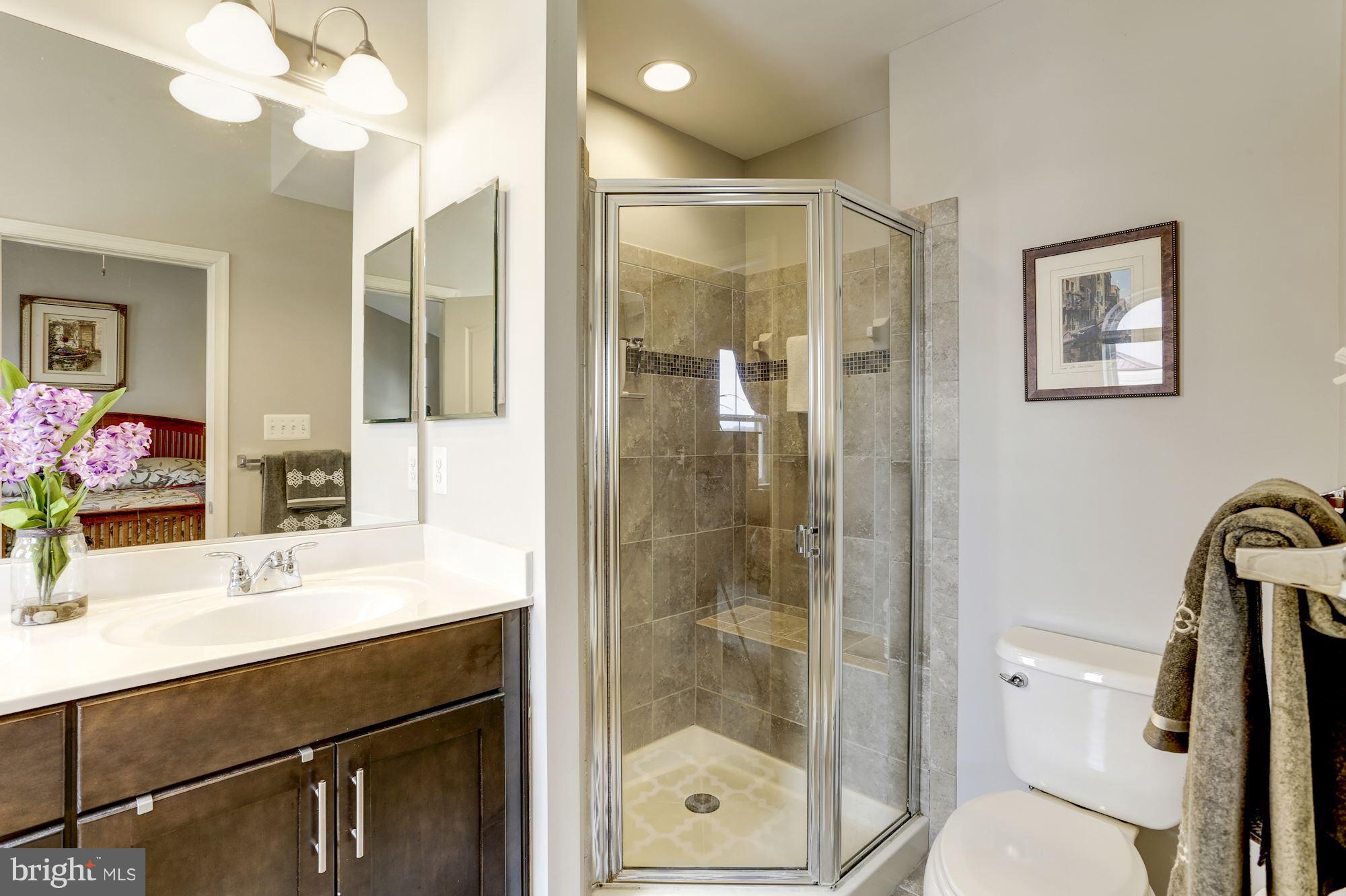 22743 Newcut Road Clarksburg, MD 20871 - Photo 20 of 30 Bath (Master)