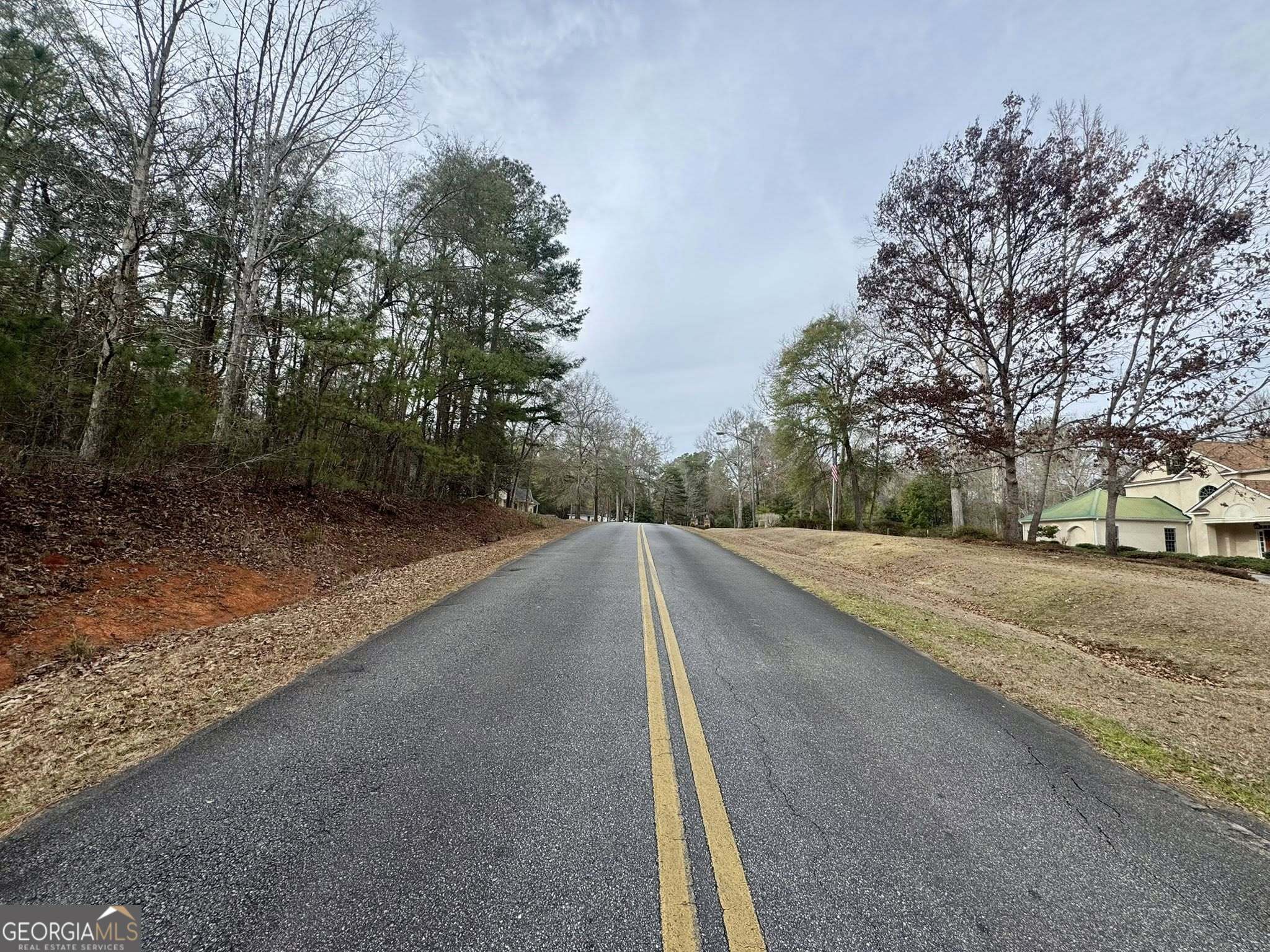 0 Hatchee Ridge Road Dublin, GA 31021 - Photo 11 of 13