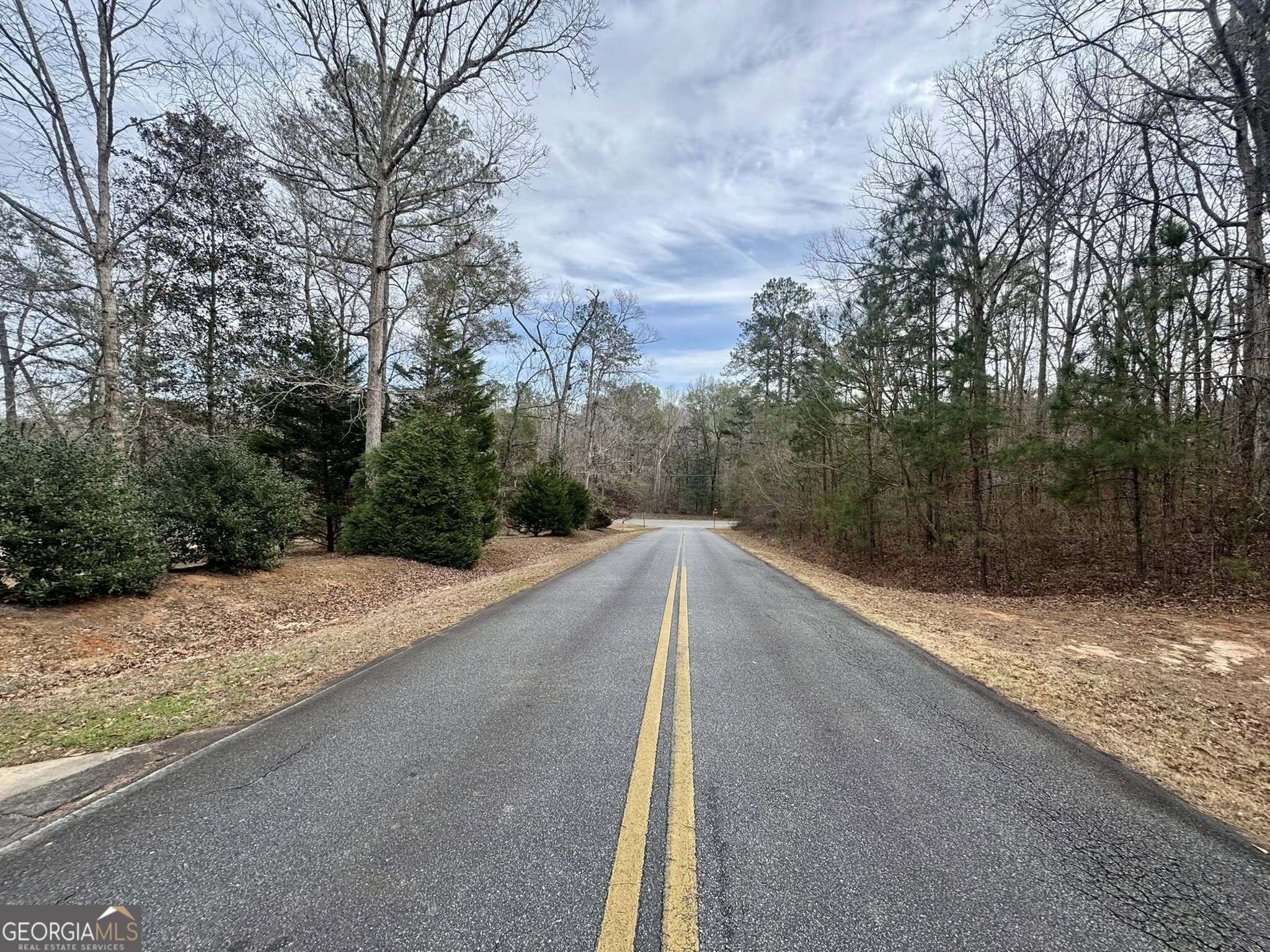 0 Hatchee Ridge Road Dublin, GA 31021 - Photo 12 of 13