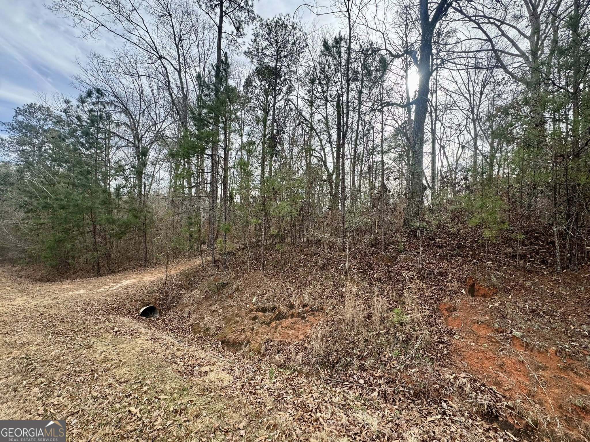 0 Hatchee Ridge Road Dublin, GA 31021 - Photo 2 of 13