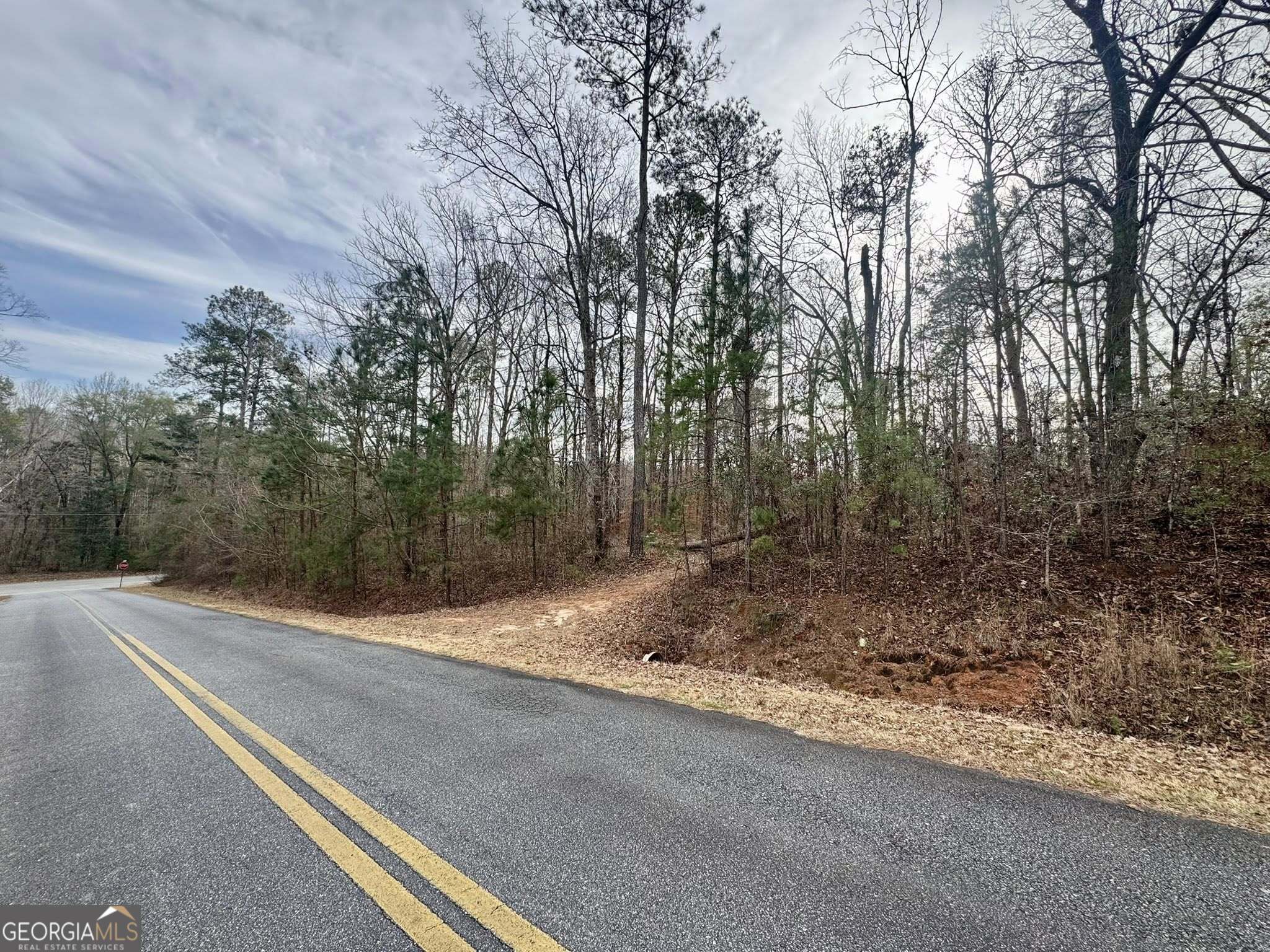 0 Hatchee Ridge Road Dublin, GA 31021 - Photo 4 of 13