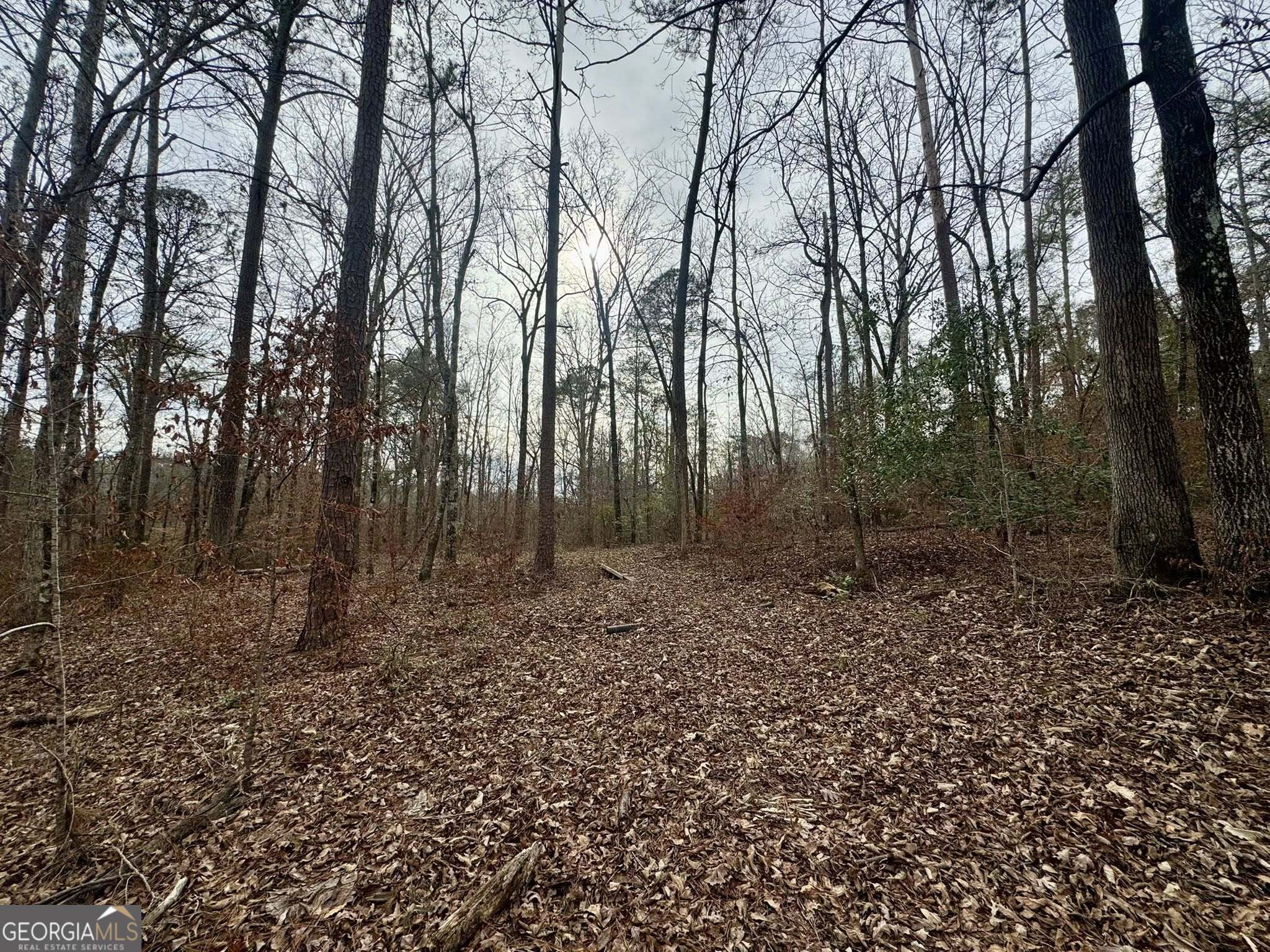 0 Hatchee Ridge Road Dublin, GA 31021 - Photo 5 of 13