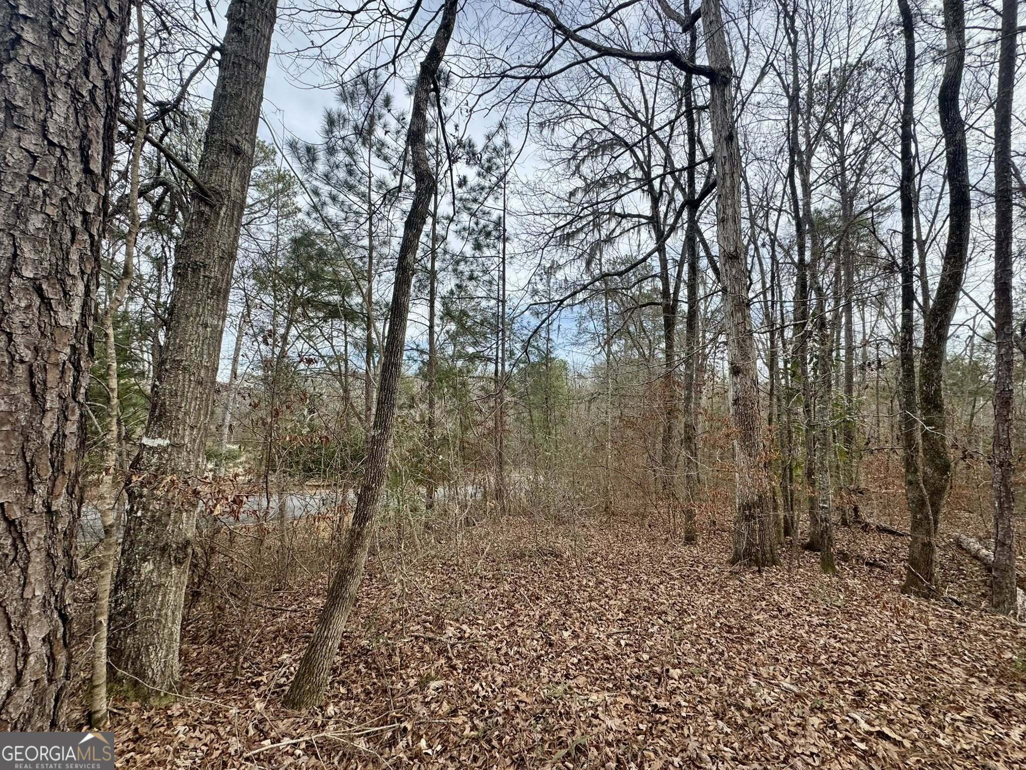 0 Hatchee Ridge Road Dublin, GA 31021 - Photo 6 of 13