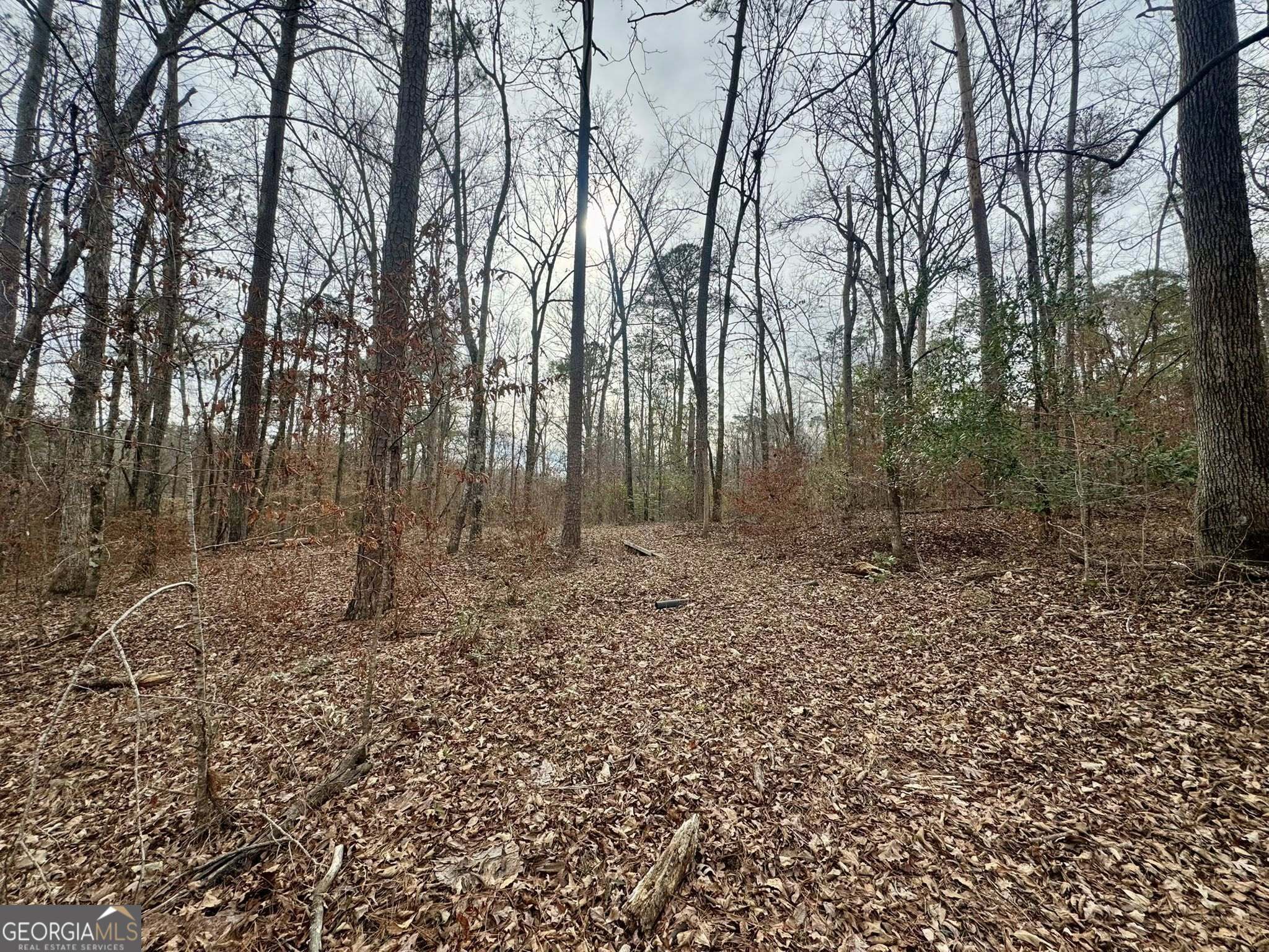 0 Hatchee Ridge Road Dublin, GA 31021 - Photo 7 of 13