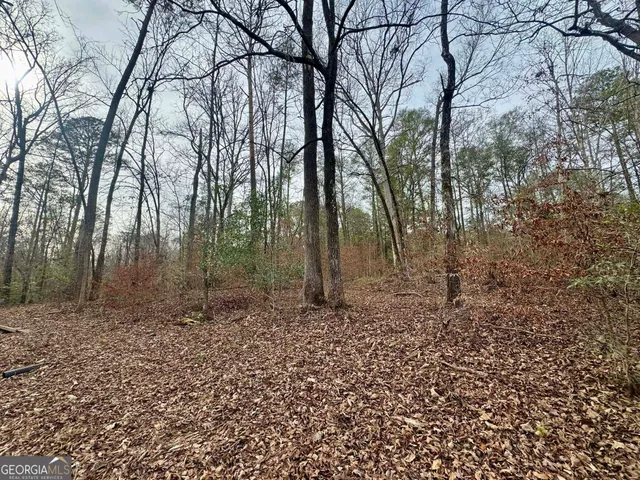 a view of a backyard of the house