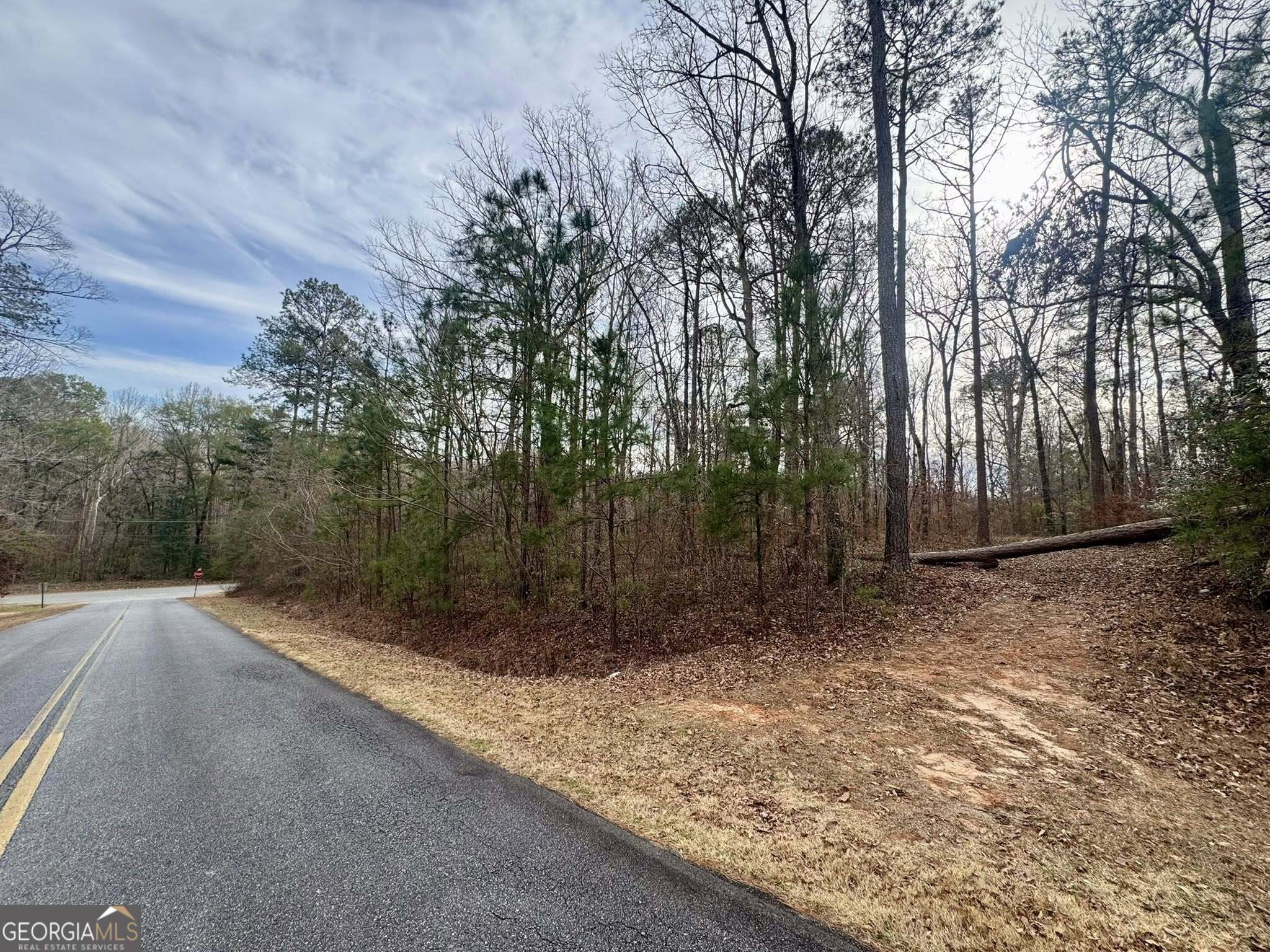 0 Hatchee Ridge Road Dublin, GA 31021 - Photo 9 of 13