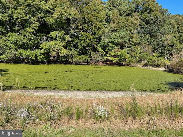 10359 Georgetown Road Berlin, MD 21811 - Photo 13 of 13 Pond