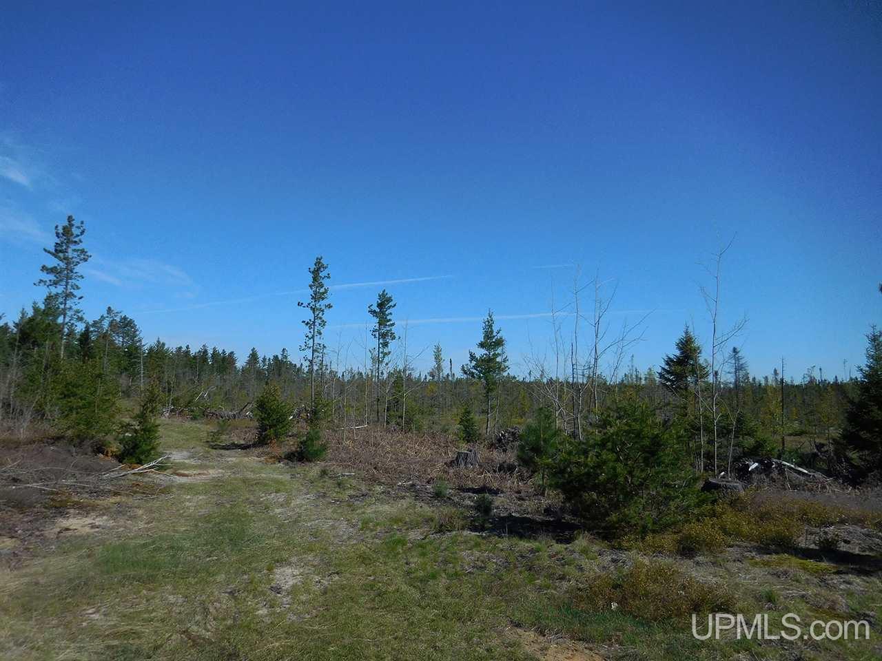 1480 Acres On Co Road Manistique, MI 49854 - Photo 26 of 49