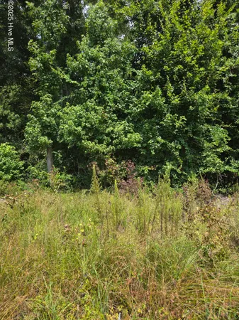 $24,000 | 0 Chapman Drive-lots 19 & 20 Drive, Grifton, NC 28530