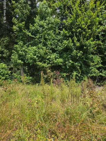 $24,000 | 0 Chapman Drive-lots 19 & 20 Drive, Grifton, NC 28530