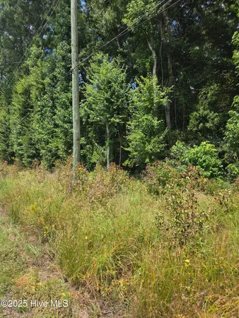 $24,000 | 0 Chapman Drive-lots 19 & 20 Drive, Grifton, NC 28530