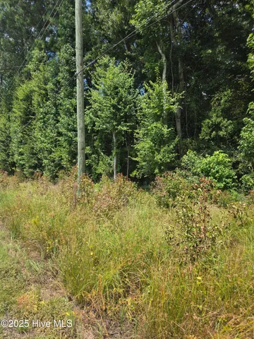 $24,000 | 0 Chapman Drive-lots 19 & 20 Drive, Grifton, NC 28530