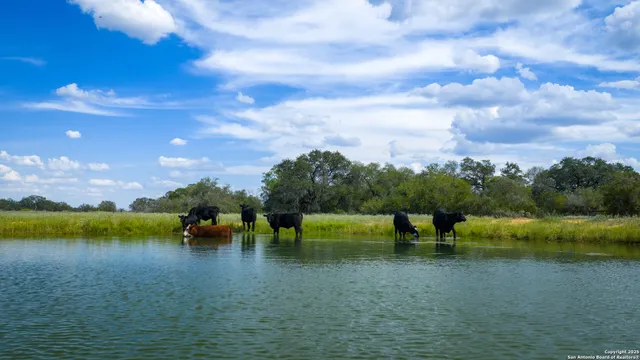 $975,000 | 2992 County Road 7711, Natalia, TX 78059