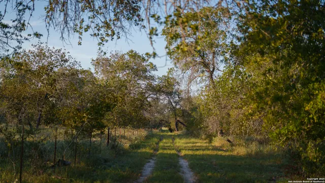 $975,000 | 2992 County Road 7711, Natalia, TX 78059