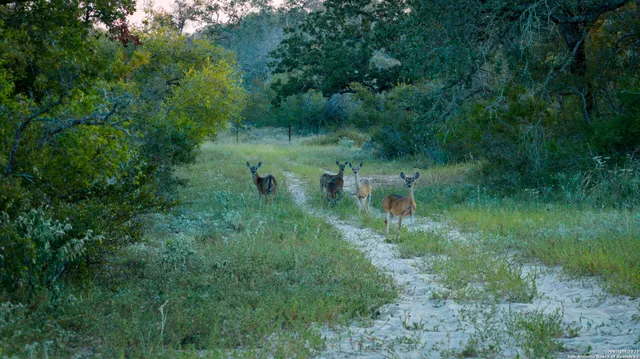 $975,000 | 2992 County Road 7711, Natalia, TX 78059