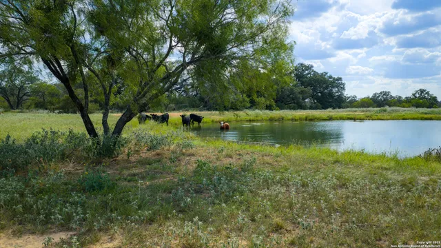 $975,000 | 2992 County Road 7711, Natalia, TX 78059