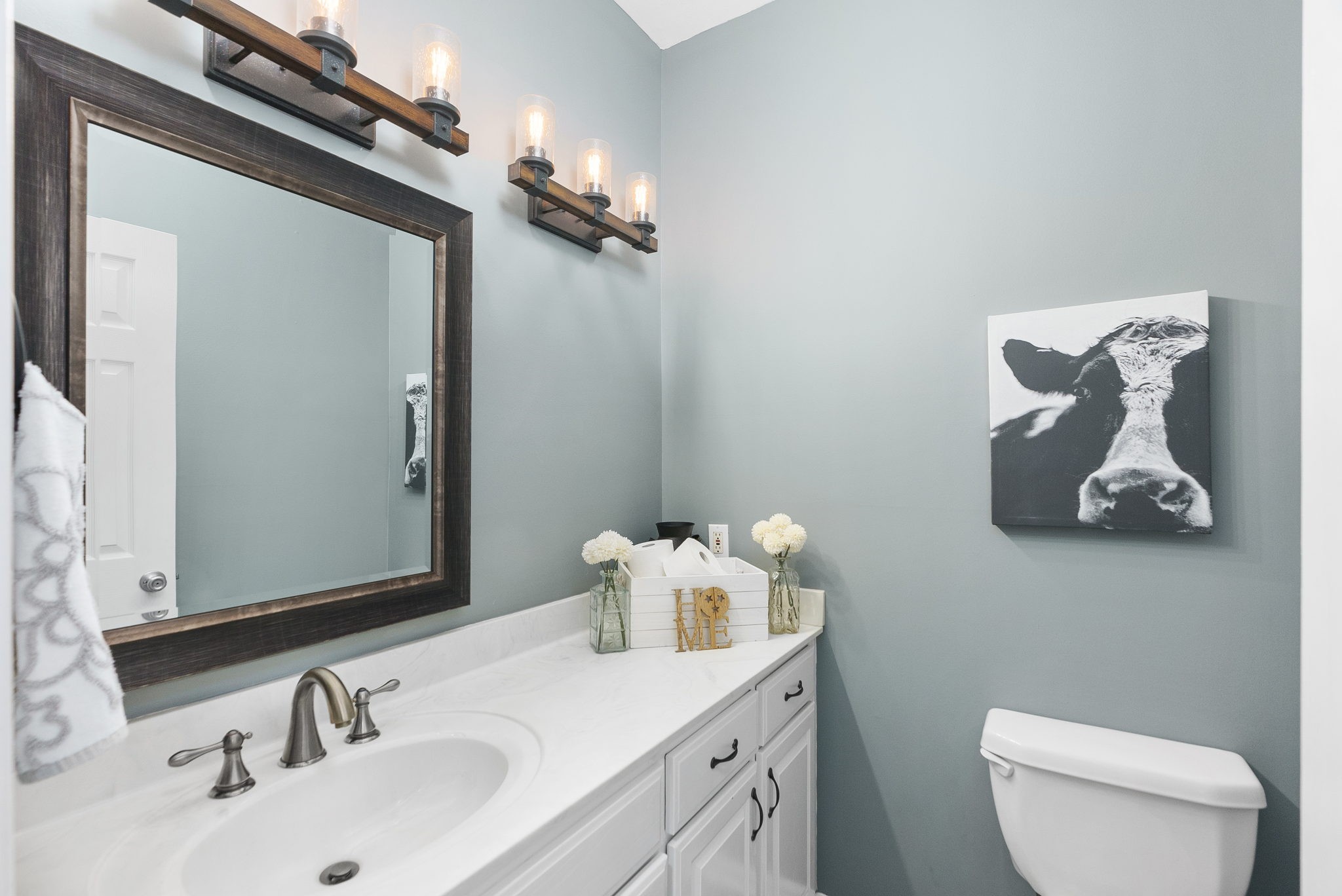 5298 Ridge Road Joelton, TN 37080 - Photo 24 of 46 a bathroom with a sink vanity and toilet