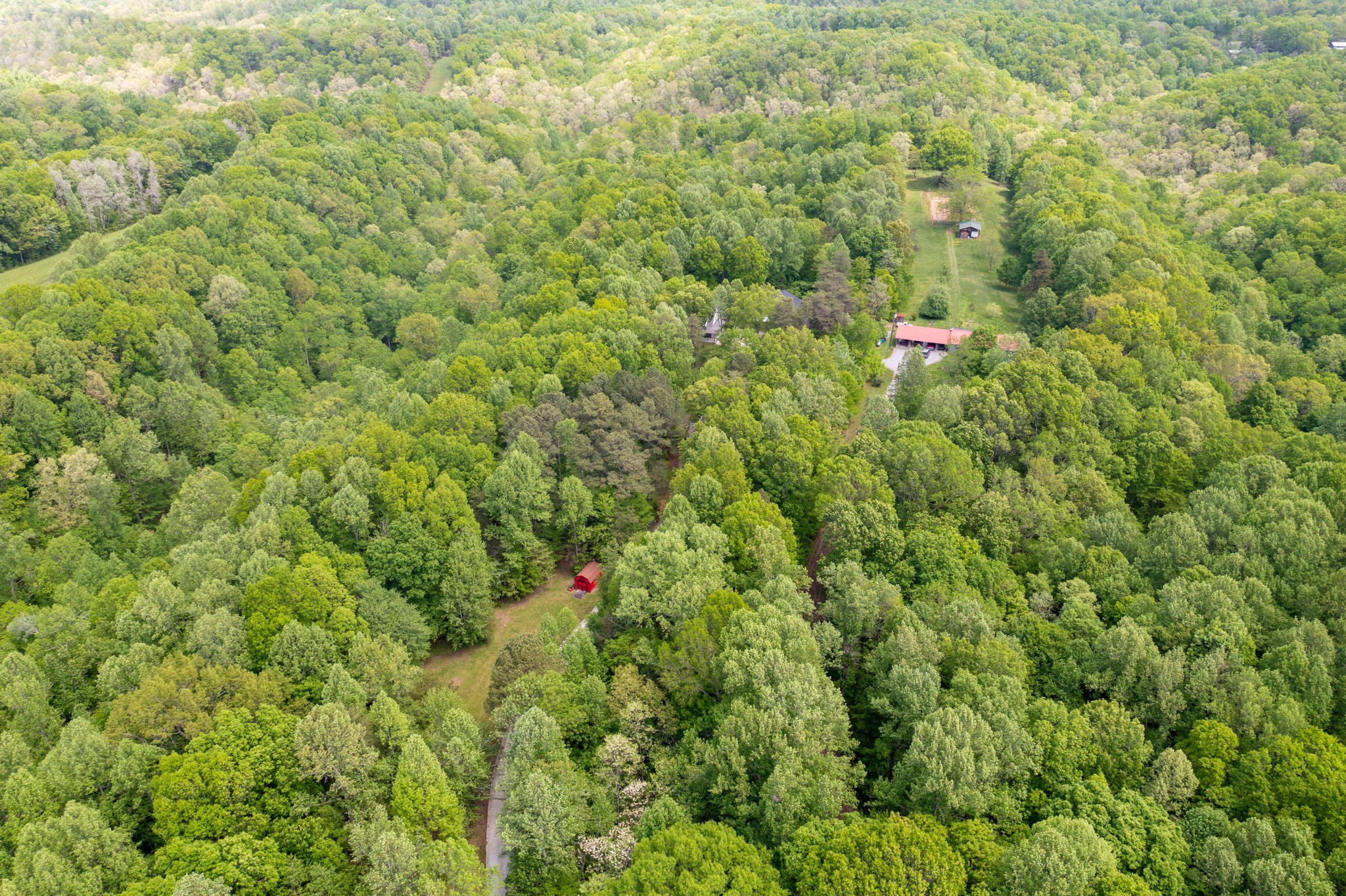 5298 Ridge Road Joelton, TN 37080 - Photo 42 of 46 a close up of a lush green field