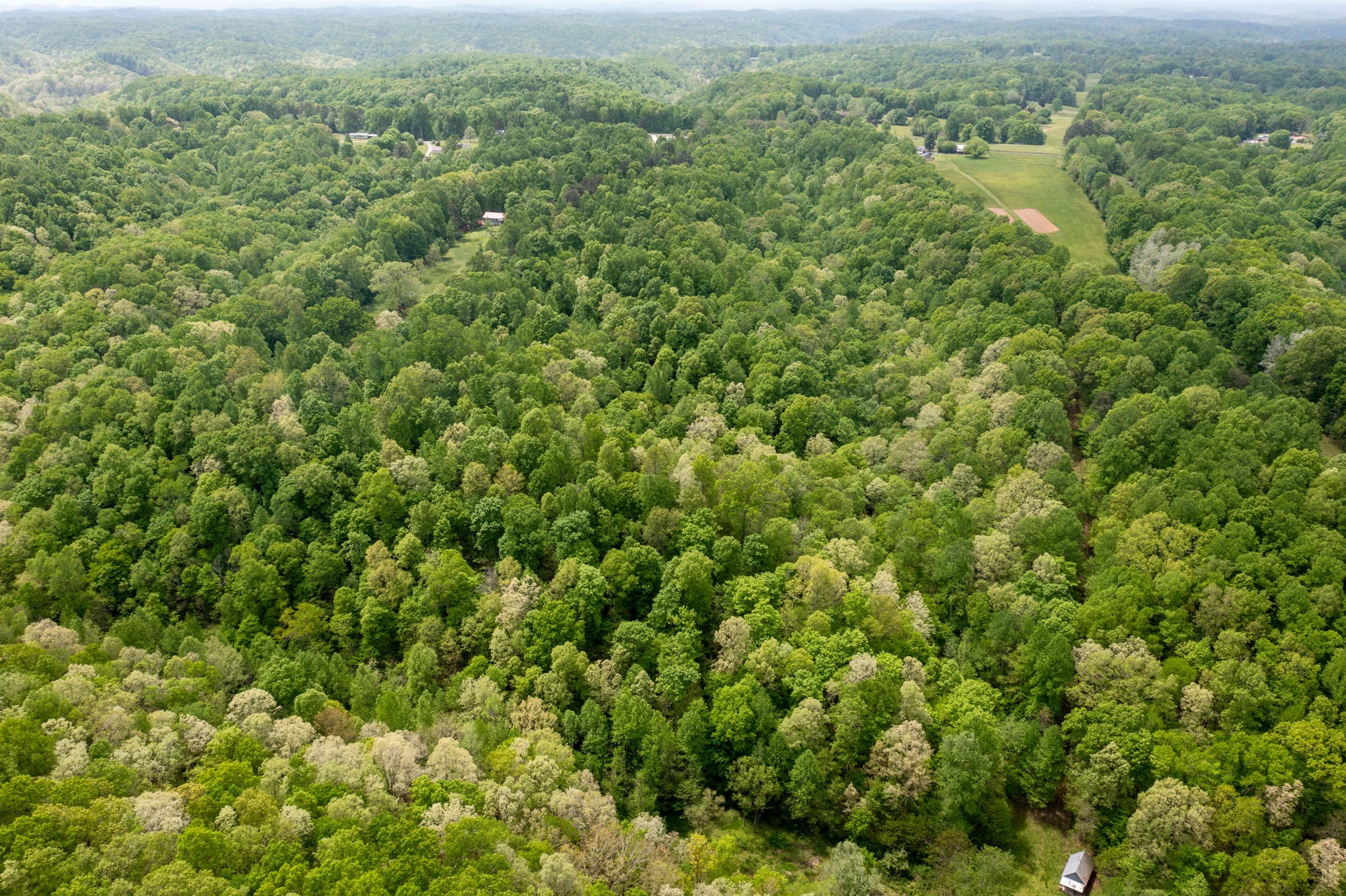 5298 Ridge Road Joelton, TN 37080 - Photo 43 of 46 an aerial view of residential houses with outdoor space and trees