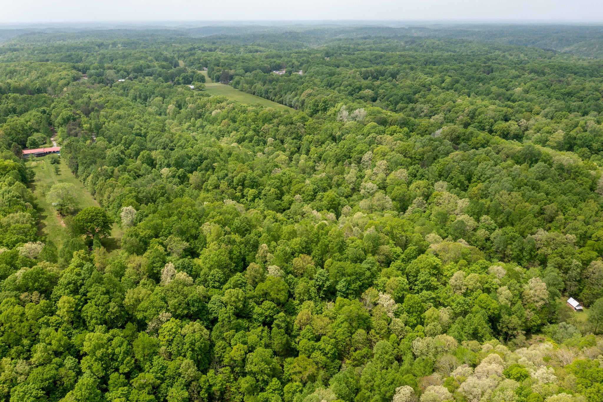5298 Ridge Road Joelton, TN 37080 - Photo 44 of 46 an aerial view of residential houses with outdoor space and trees