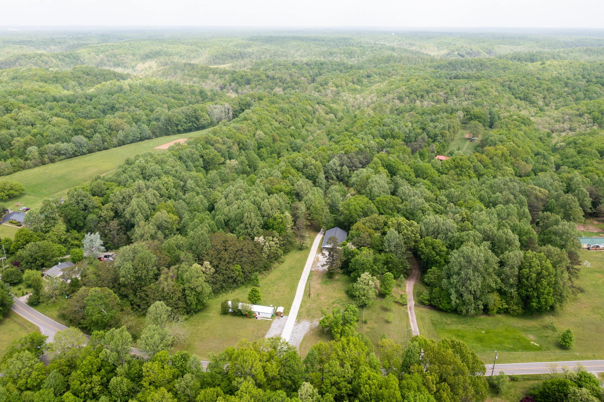 5298 Ridge Road Joelton, TN 37080 - Photo 5 of 46 a view of a green yard with a large trees
