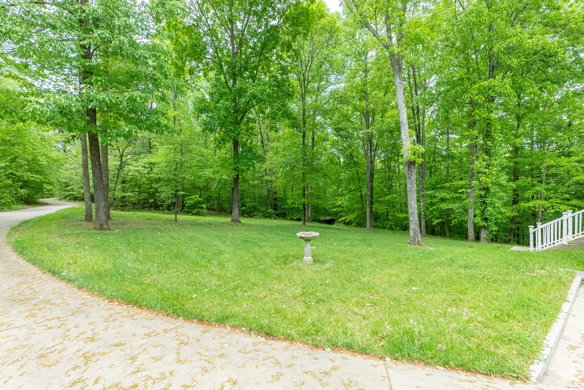 5298 Ridge Road Joelton, TN 37080 - Photo 7 of 46 a view of backyard with green space