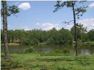 Xxx Tallokas Road Crestview, FL 32536 - Photo 2 of 2 a view of lake with green space
