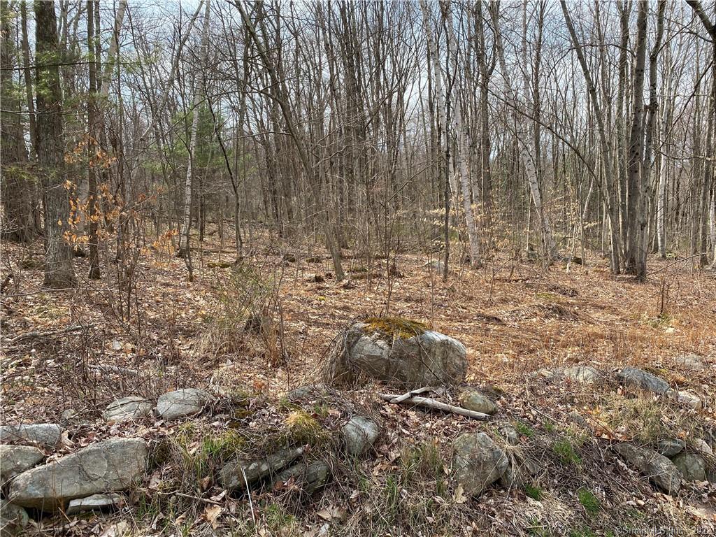77 Lake Harwinton Road Harwinton, CT 06791 - Photo 1 of 1