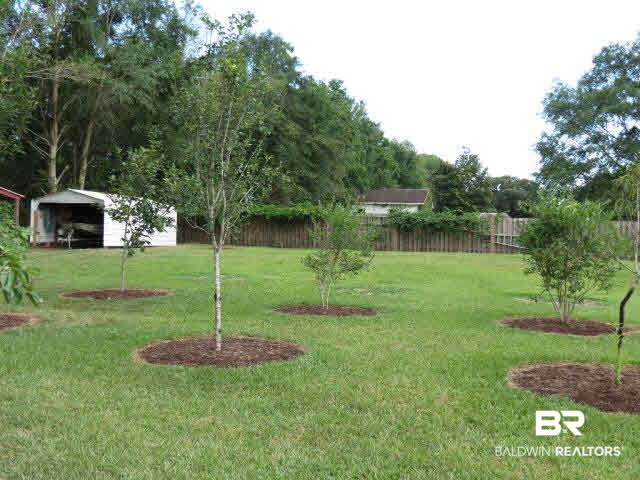 10849 Bellingrath Road Theodore, AL 36582 - Photo 12 of 14 Fruit Trees