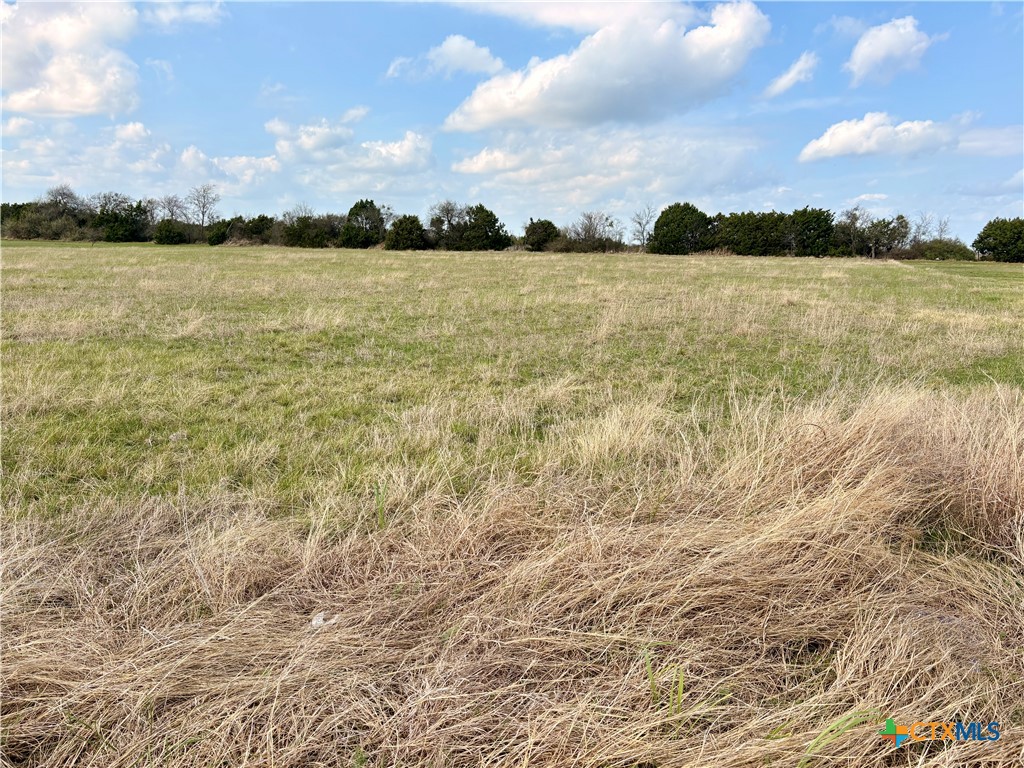 Tbd Cedar Mountain Road Gatesville, TX 76528 - Photo 3 of 6 a view of an ocean and beach