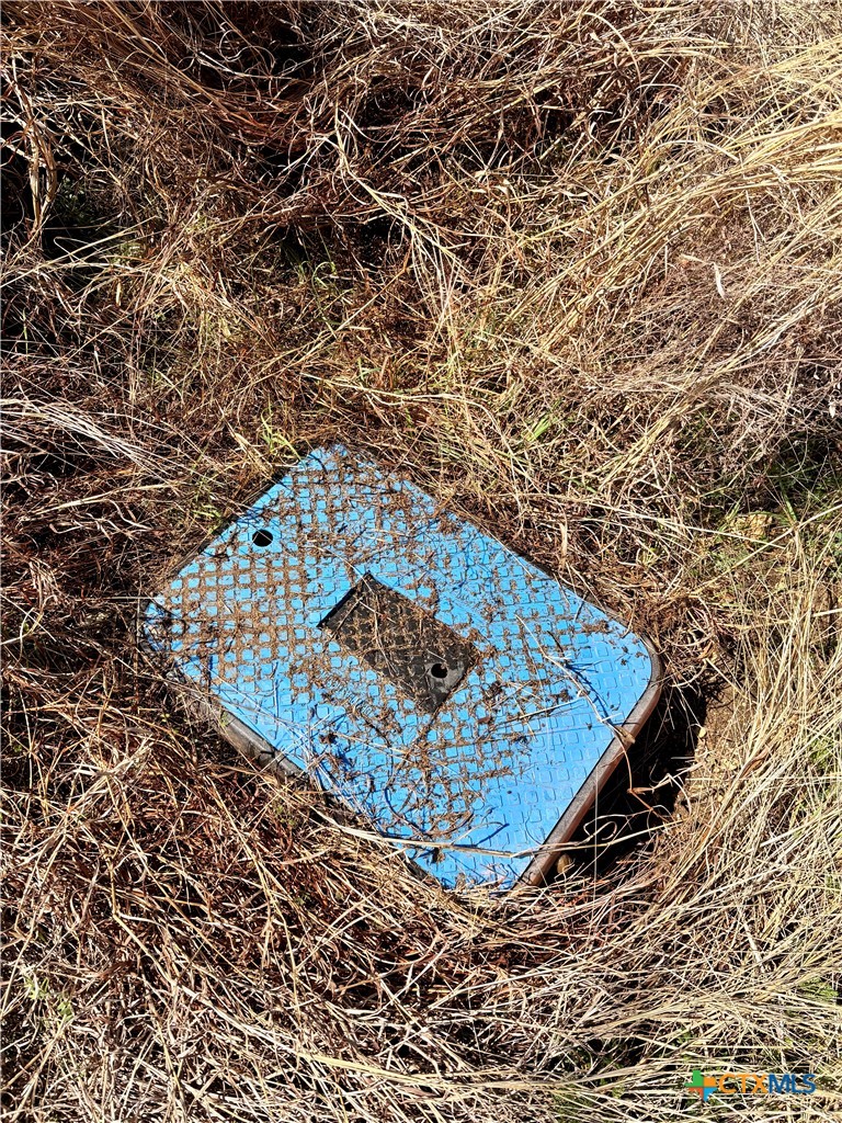 Tbd Cedar Mountain Road Gatesville, TX 76528 - Photo 5 of 6