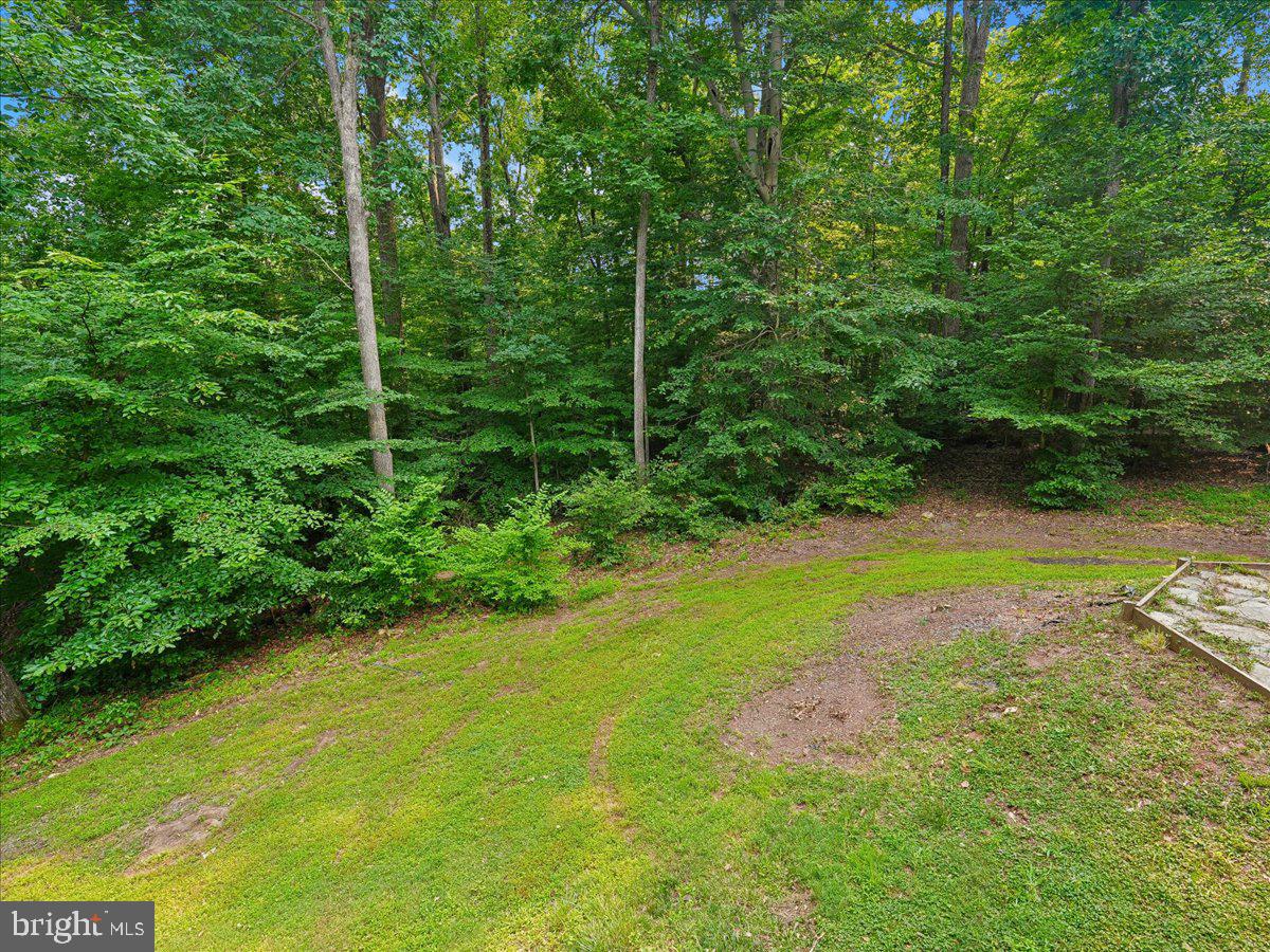8253 Honeysuckle Road Manassas, VA 20112 - Photo 13 of 15 Serene woodland retreat awaits you.