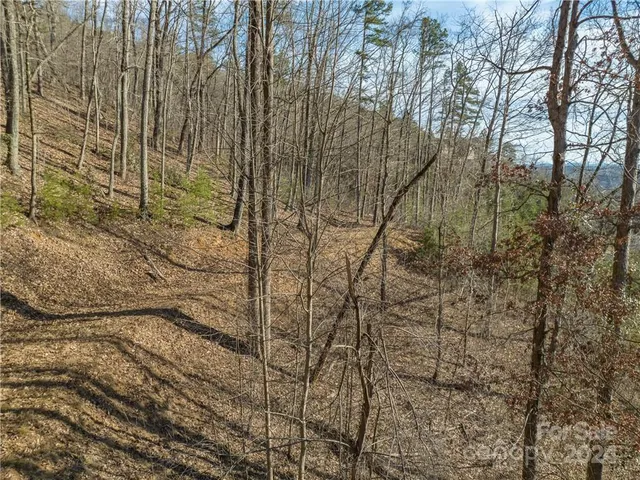 $75,000 | 0 Rock Ledge Dr Lake, Unit 223, Lake Lure, NC 28746