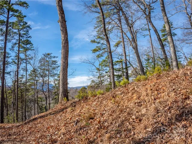 $75,000 | 0 Rock Ledge Dr Lake, Unit 223, Lake Lure, NC 28746