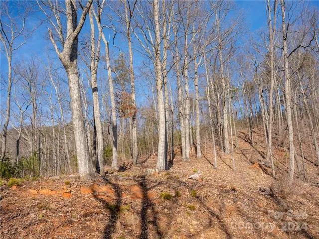 $75,000 | 0 Rock Ledge Dr Lake, Unit 223, Lake Lure, NC 28746