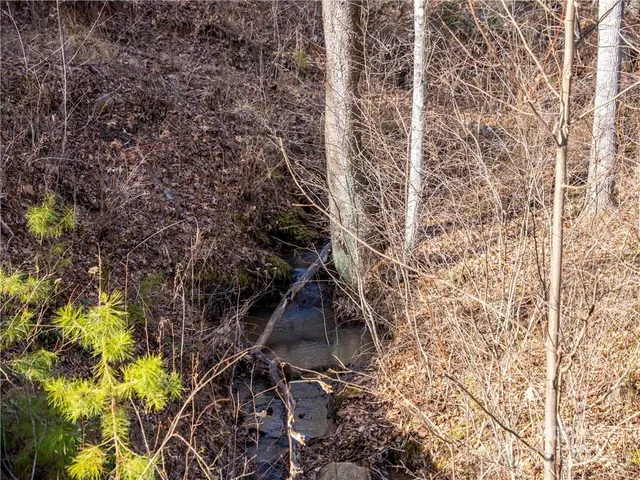 $75,000 | 0 Rock Ledge Dr Lake, Unit 223, Lake Lure, NC 28746