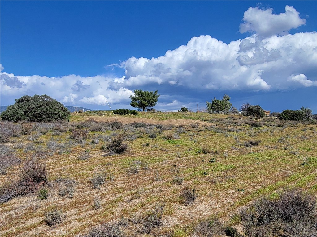 53595 Cave Rock Road Anza, CA 92539 - Photo 12 of 14
