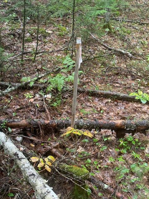 729 Rockland Road Jefferson, ME 04348 - Photo 4 of 5 #3- Soils tested