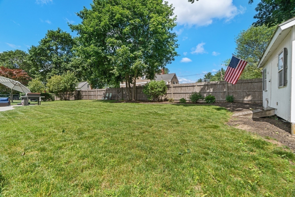 61 Broad Street Walpole, MA 02081 - Photo 24 of 37 a view of a garden with a house