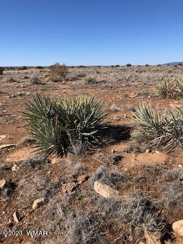 Lot 663 Chevelon Canyon Ranch Heber, AZ 85928 - Photo 1 of 5