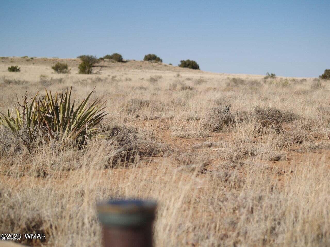 Lot 663 Chevelon Canyon Ranch Heber, AZ 85928 - Photo 4 of 5 a view of a dry field with trees in the background